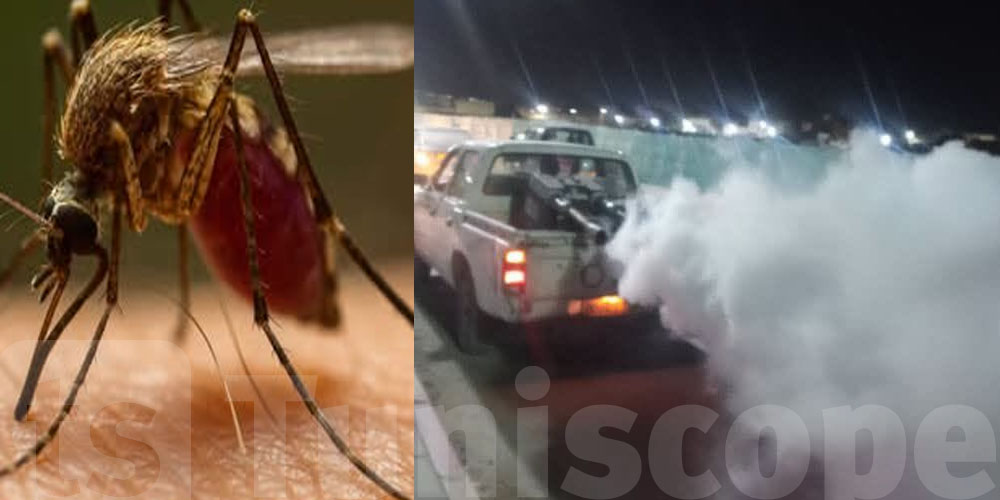 شنوا حكاية ''كيرونوميدا'' اللي ظهرت فجأة في بحيرة إشكل؟
